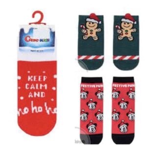 Шкарпетки дитячі NEW YEAR (19С-64СП), р.11-22