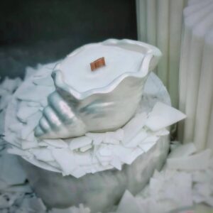 0e5c9f6a-e609-45fc-ad08-13fd25fa3206.jpg Свічка ароматична Solodka "Мушля" в кашпо 35 г