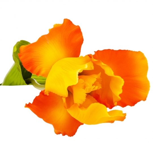 Штучна квітка "Ірис" 78 см помаранчева