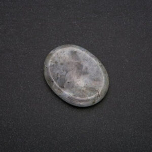 5da046fc-6932-49f5-9c78-0e1e83cbbbbb.jpg Масажер-таблетка Лабрадор 45*35 мм