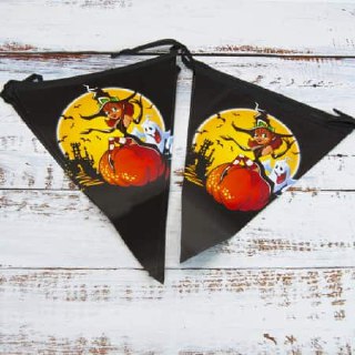 Гірлянда на Хелловін прапорці «Відьмочка»