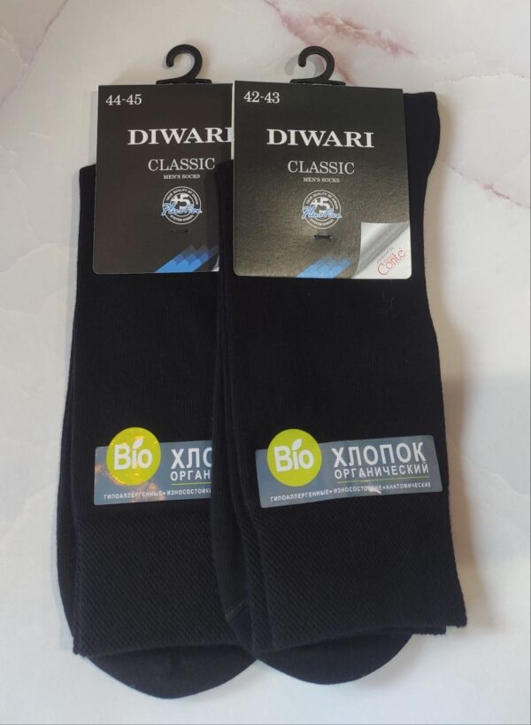 Шкарпетки чоловічі Conte CLASSIC bio (18С-226СП)