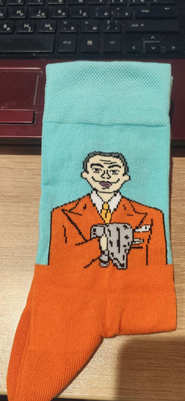 Шкарпетки "Далі" Orner (41-44)