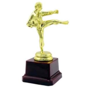 d2e091bb-77e0-46ed-93d9-0ae492ee2301.jpg Статуетка "Каратист" 15 см