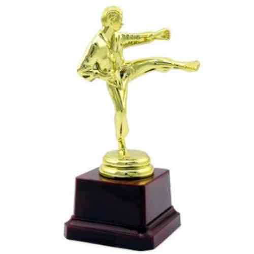 Статуетка "Каратист" 15 см