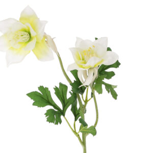 Штучна гілка "Аквілегія/ Лютик" 58 см кремово-біла