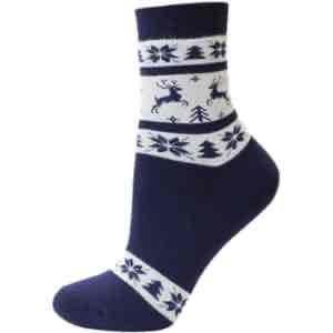 Шкарпетки жіночі Брестские ARCTIC махрові (1408), синій/чорний