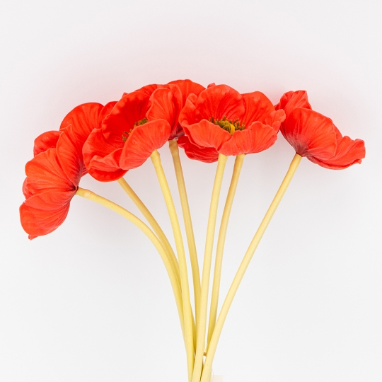 Штучний букет маків 7 бутонів/ 35 см (латекс) червоний