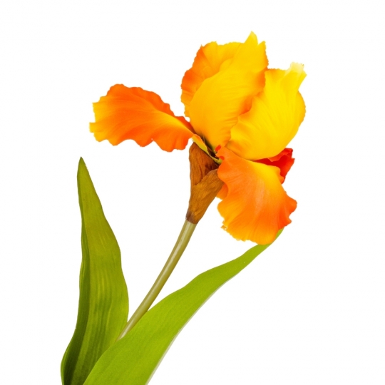 Штучна квітка "Ірис" 78 см помаранчева