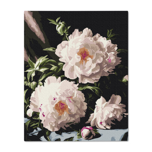 Картина за номерами "Півонії у променях" Orner