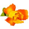 Штучна квітка "Ірис" 78 см помаранчева