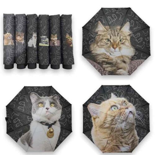 Парасоля компактна механічна “Котики» однотонна 8 спиць/антивітер