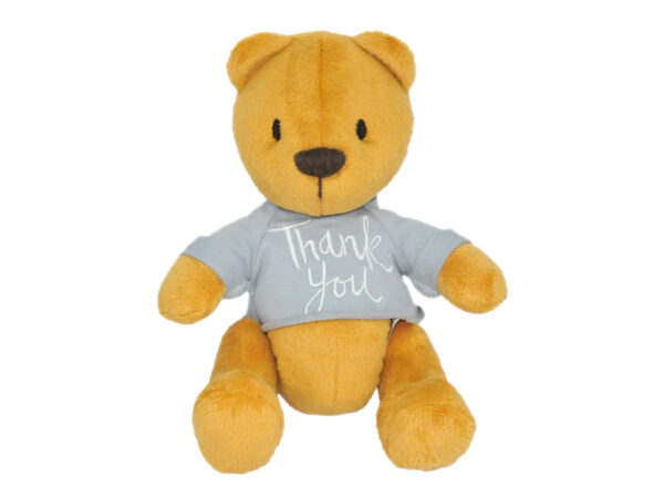 М'яка іграшка "Ведмедик Денні THANK YOU" Tigres 25 см