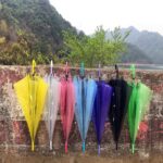 Парасоля-трость дитяча півавтомат 8 спиць прозора кольорова