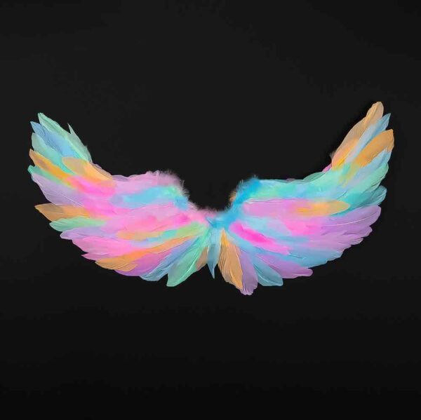 Крила "Ангел" з пухом кольорові 67 см