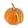 Декоративний гарбуз "Осінній затишок" 7 см