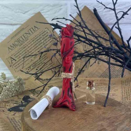 Програмна свічка "Гармонізація відносин" 5C