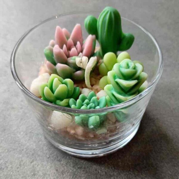 Свічка ароматична Solodka "Кактус / Сукулент" S в склі