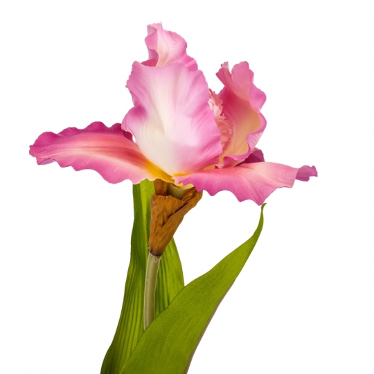 Штучна квітка "Ірис" 78 см рожева
