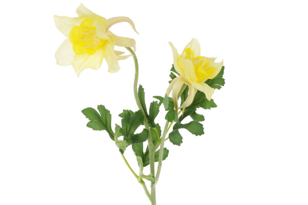 Штучна гілка "Аквілегія/ Лютик" 58 см жовта