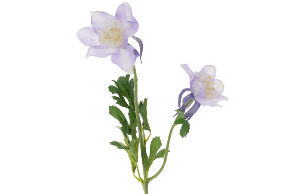 Штучна гілка "Аквілегія/ Лютик" 58 см лілова