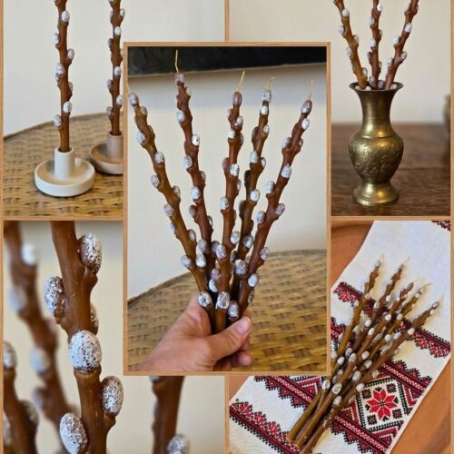 Свічка "Верба" Solodka "M" 25 см (бджолиний віск)