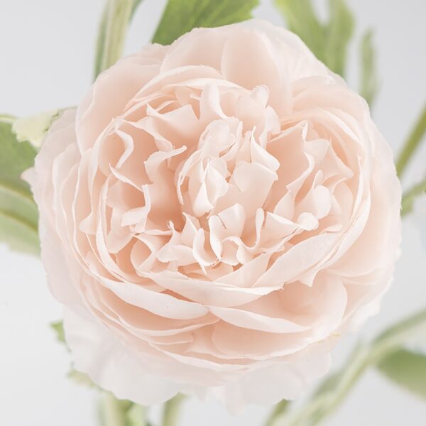 Штучна гілка ранункулюс 3 бутони 50 см пудровий