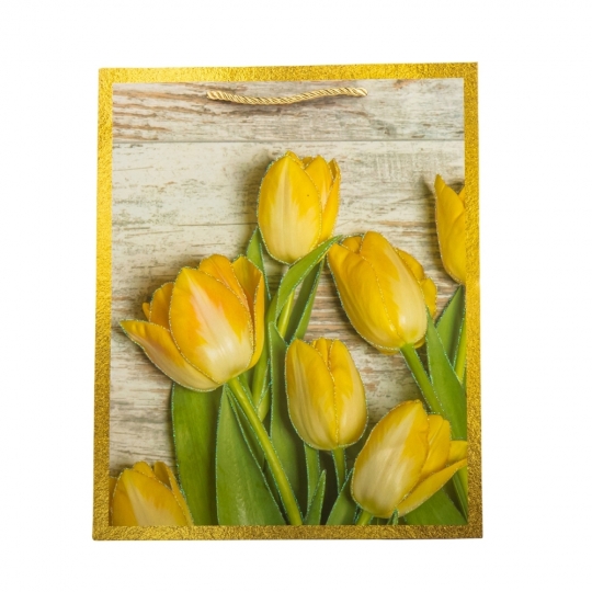 Пакет подарунковий "L" (30*41,5*10) "Тюльпани" мікс