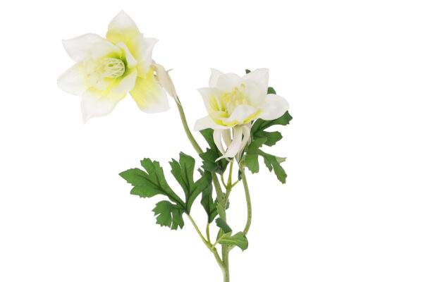 Штучна гілка "Аквілегія/ Лютик" 58 см кремово-біла