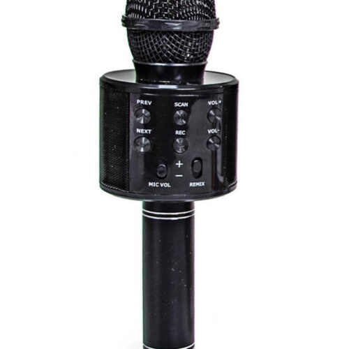 Бездротовий Мікрофон "Караоке" WS-858 чорний