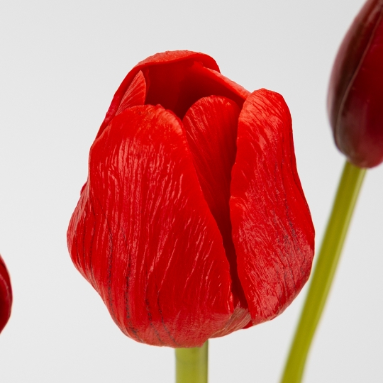 Штучний букет тюльпанів 7 бутонів/ 48 см "Весняна насолода" (латекс) червоний