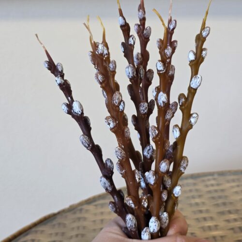 84c1f917-a35c-4bd3-8b7f-46cfffc00d7c.jpg Свічка "Верба" Solodka "S" 20 см (бджолиний віск)