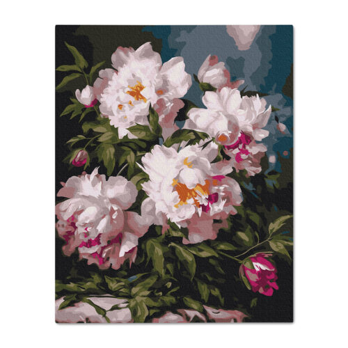 Картина за номерами "Пудрові півонії" Orner