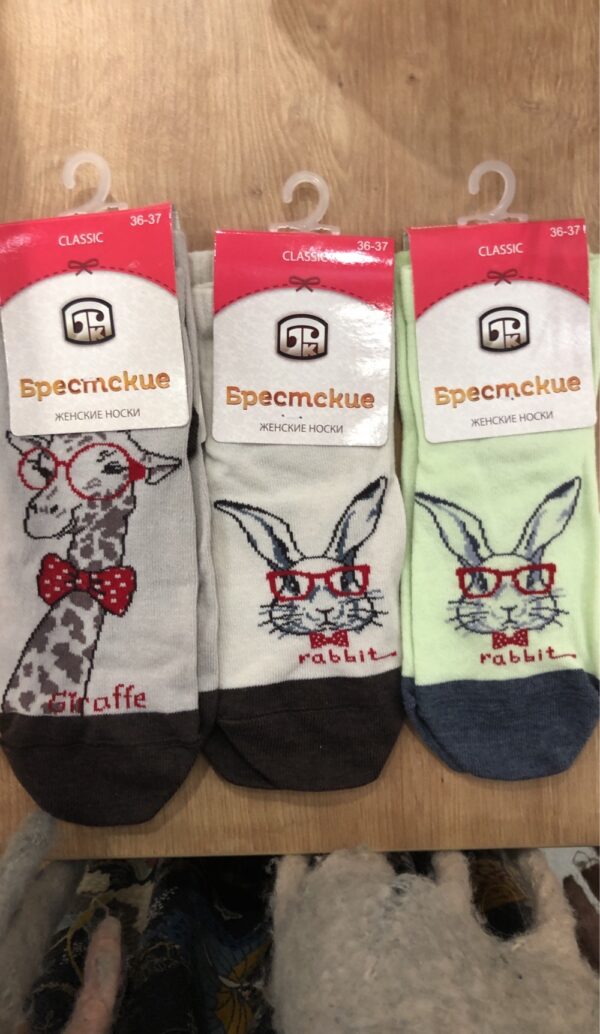 Шкарпетки жіночі Брестские CLASSIC укорочені (1103)