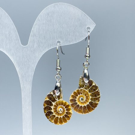 Сережки "Мушля" з натур. Амонітами 18х22х4 мм L-48 мм