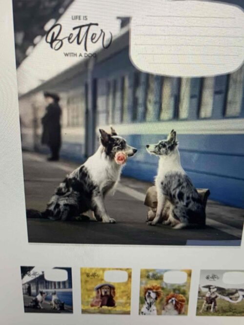 35874be6-2027-4266-9a75-217a77dfc924.jpg Зошит уч. Школярик "Life is Better With a Dog" 12 арк/коса лінійка