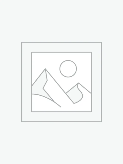 REMAX Data Cable (MOSS Series) iPhone (RC-079i), синій/золотий/чорний/срібний